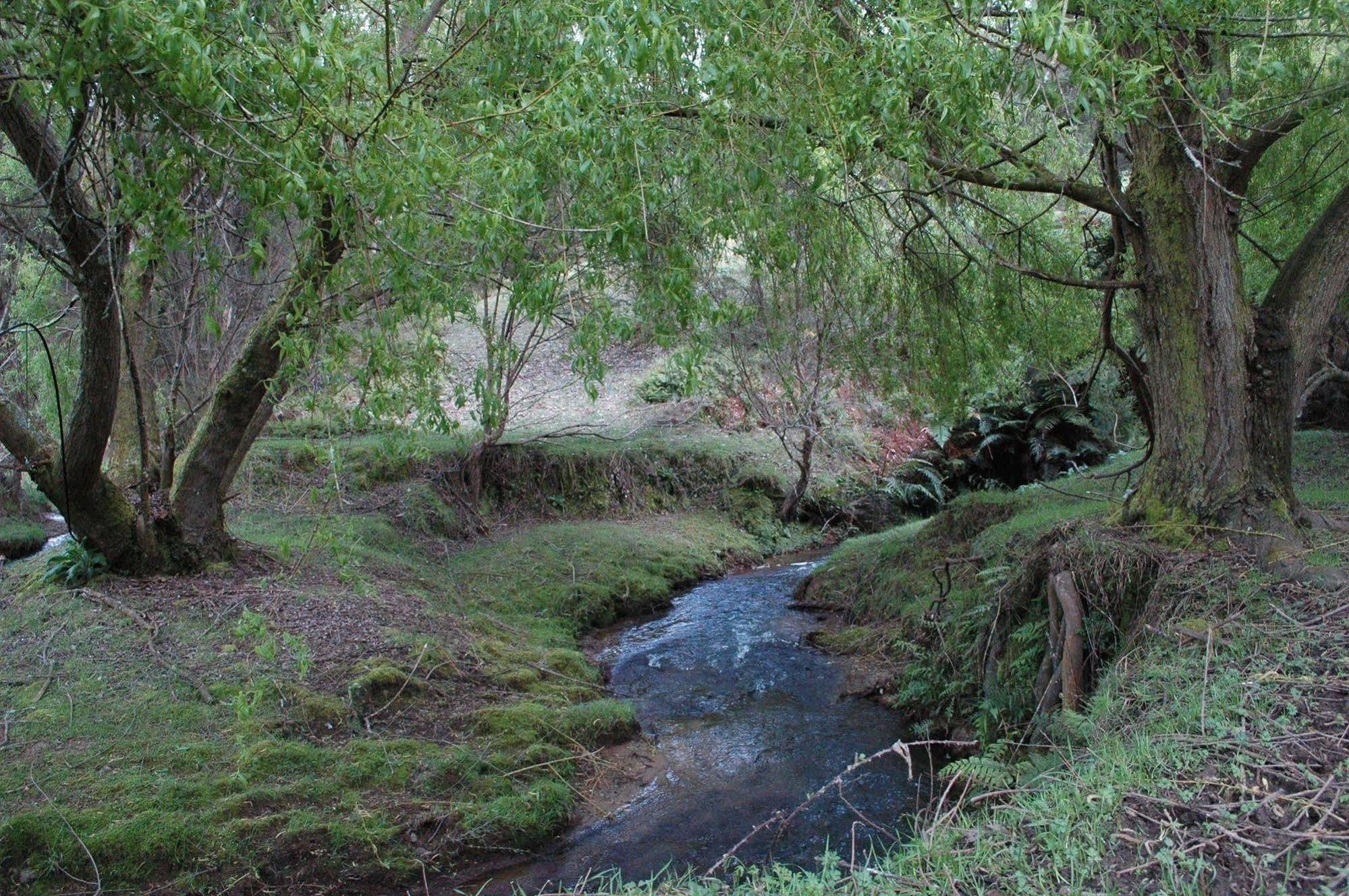 Karamu Valley Lodge מראה חיצוני תמונה